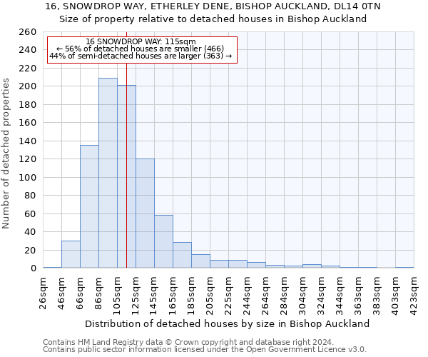 16, SNOWDROP WAY, ETHERLEY DENE, BISHOP AUCKLAND, DL14 0TN: Size of property relative to detached houses in Bishop Auckland