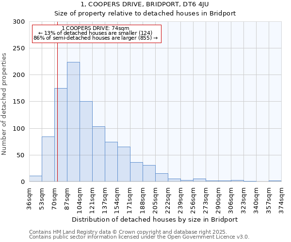 1, COOPERS DRIVE, BRIDPORT, DT6 4JU: Size of property relative to detached houses in Bridport