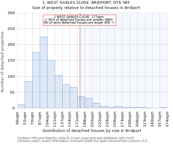 1, WEST GABLES CLOSE, BRIDPORT, DT6 5BF: Size of property relative to detached houses in Bridport