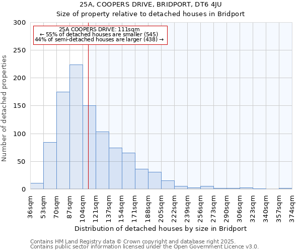 25A, COOPERS DRIVE, BRIDPORT, DT6 4JU: Size of property relative to detached houses in Bridport