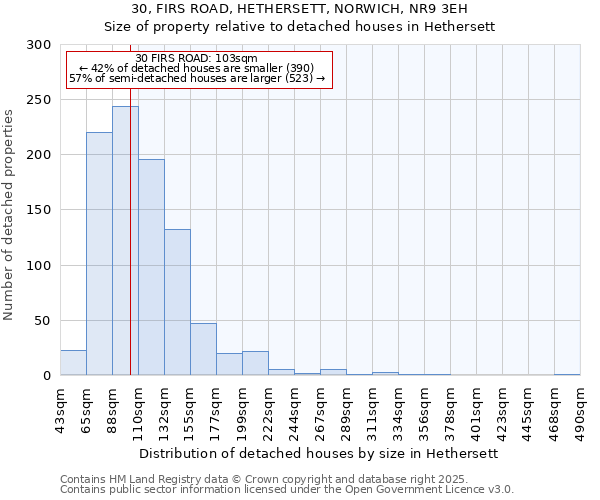 30, FIRS ROAD, HETHERSETT, NORWICH, NR9 3EH: Size of property relative to detached houses in Hethersett