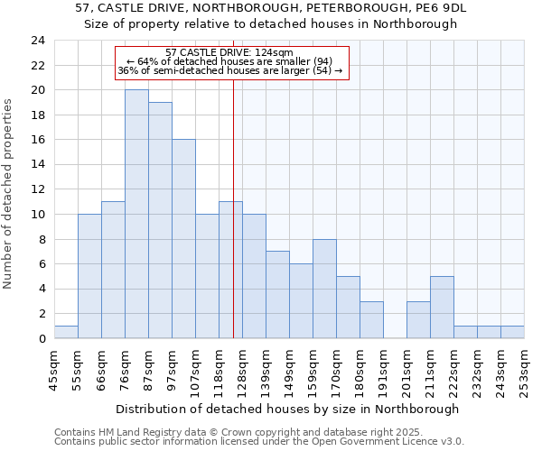 57, CASTLE DRIVE, NORTHBOROUGH, PETERBOROUGH, PE6 9DL: Size of property relative to detached houses in Northborough