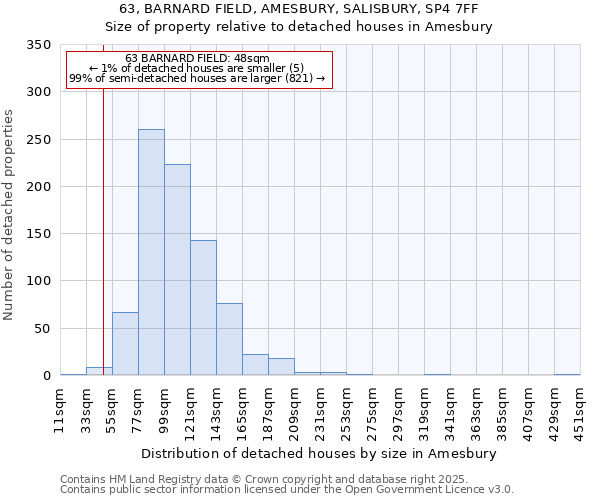 63, BARNARD FIELD, AMESBURY, SALISBURY, SP4 7FF: Size of property relative to detached houses in Amesbury