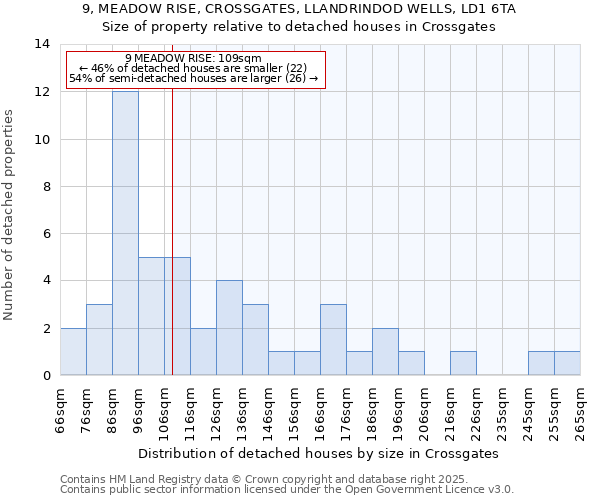 9, MEADOW RISE, CROSSGATES, LLANDRINDOD WELLS, LD1 6TA: Size of property relative to detached houses in Crossgates