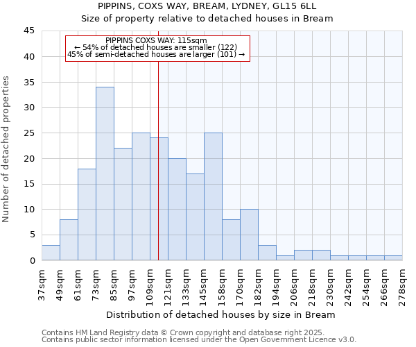 PIPPINS, COXS WAY, BREAM, LYDNEY, GL15 6LL: Size of property relative to detached houses in Bream