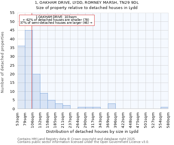 1, OAKHAM DRIVE, LYDD, ROMNEY MARSH, TN29 9DL: Size of property relative to detached houses in Lydd