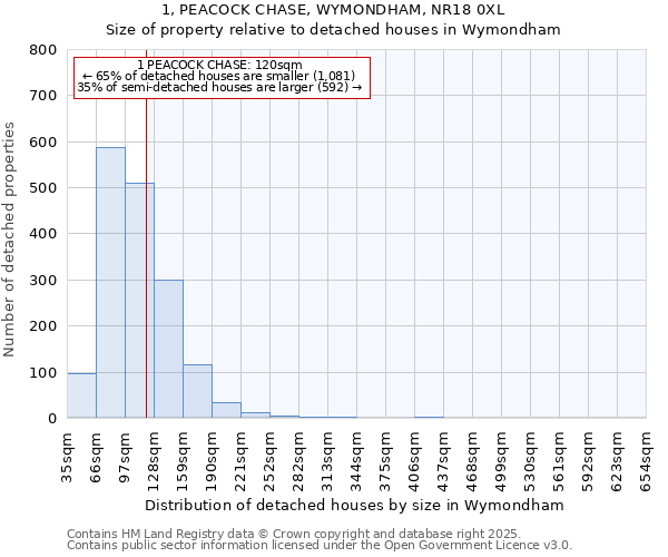 1, PEACOCK CHASE, WYMONDHAM, NR18 0XL: Size of property relative to detached houses in Wymondham