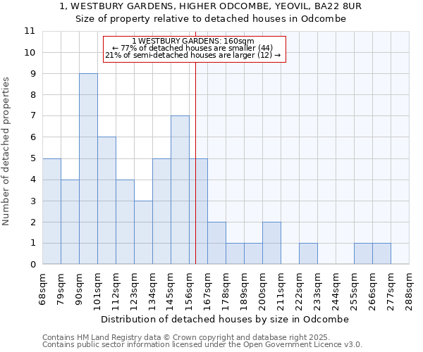 1, WESTBURY GARDENS, HIGHER ODCOMBE, YEOVIL, BA22 8UR: Size of property relative to detached houses in Odcombe