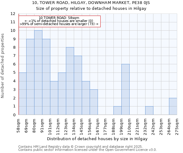 10, TOWER ROAD, HILGAY, DOWNHAM MARKET, PE38 0JS: Size of property relative to detached houses in Hilgay