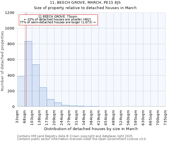 11, BEECH GROVE, MARCH, PE15 8JS: Size of property relative to detached houses in March