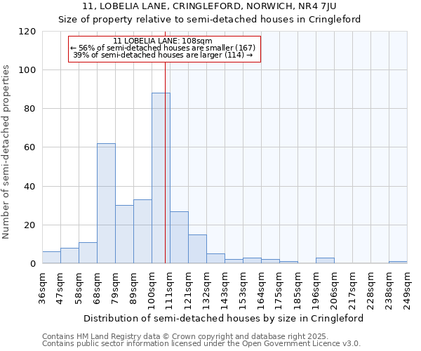 11, LOBELIA LANE, CRINGLEFORD, NORWICH, NR4 7JU: Size of property relative to detached houses in Cringleford