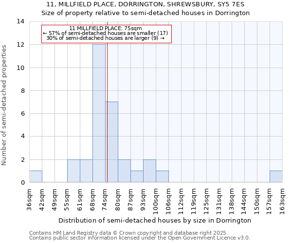 11, MILLFIELD PLACE, DORRINGTON, SHREWSBURY, SY5 7ES: Size of property relative to detached houses in Dorrington