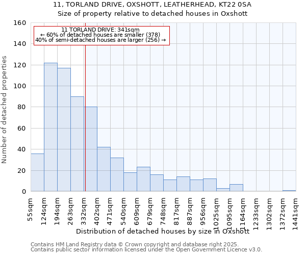 11, TORLAND DRIVE, OXSHOTT, LEATHERHEAD, KT22 0SA: Size of property relative to detached houses in Oxshott