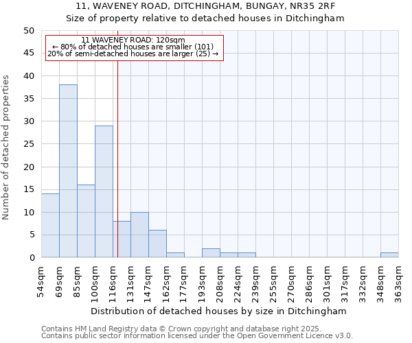 11, WAVENEY ROAD, DITCHINGHAM, BUNGAY, NR35 2RF: Size of property relative to detached houses in Ditchingham