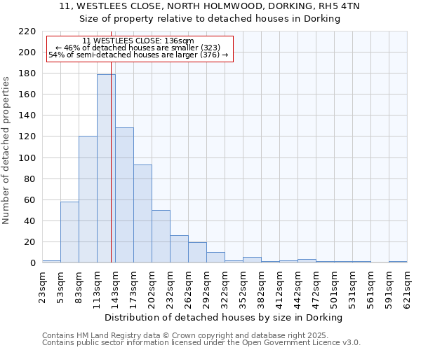 11, WESTLEES CLOSE, NORTH HOLMWOOD, DORKING, RH5 4TN: Size of property relative to detached houses in Dorking