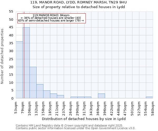 119, MANOR ROAD, LYDD, ROMNEY MARSH, TN29 9HU: Size of property relative to detached houses in Lydd