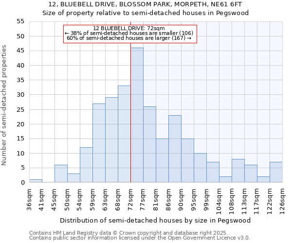 12, BLUEBELL DRIVE, BLOSSOM PARK, MORPETH, NE61 6FT: Size of property relative to detached houses in Pegswood