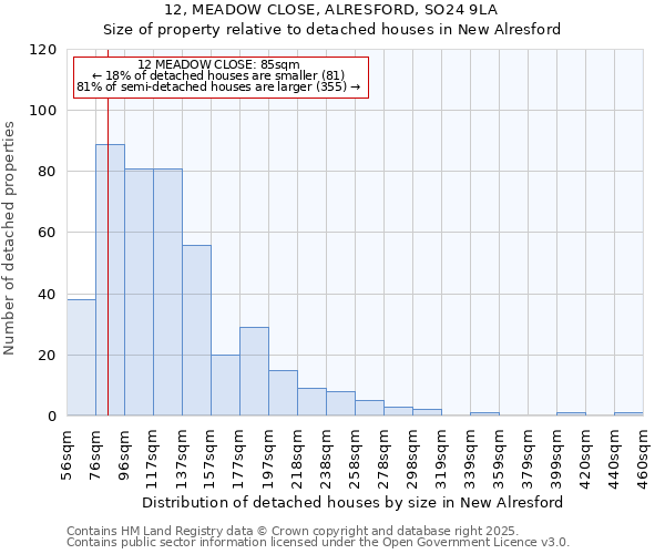 12, MEADOW CLOSE, ALRESFORD, SO24 9LA: Size of property relative to detached houses in New Alresford