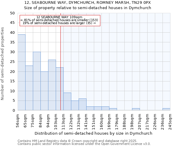 12, SEABOURNE WAY, DYMCHURCH, ROMNEY MARSH, TN29 0PX: Size of property relative to detached houses in Dymchurch