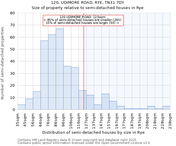 120, UDIMORE ROAD, RYE, TN31 7DY: Size of property relative to detached houses in Rye