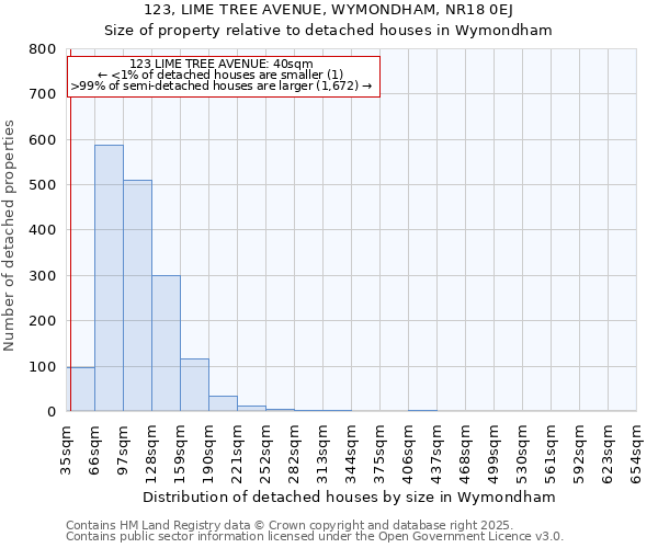 123, LIME TREE AVENUE, WYMONDHAM, NR18 0EJ: Size of property relative to detached houses in Wymondham