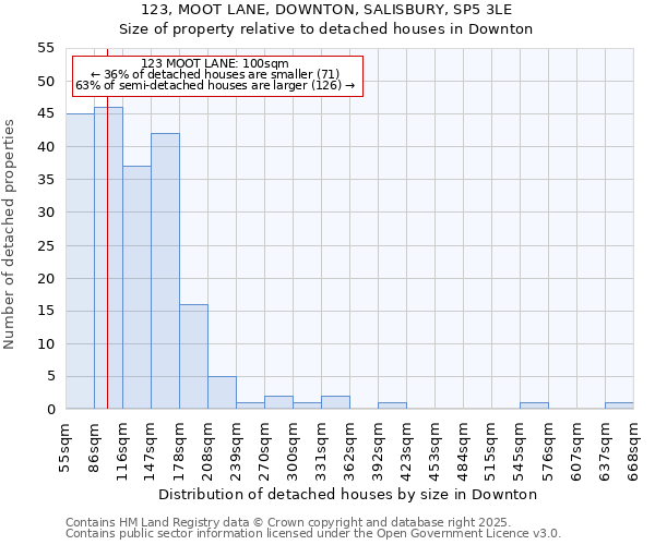 123, MOOT LANE, DOWNTON, SALISBURY, SP5 3LE: Size of property relative to detached houses in Downton