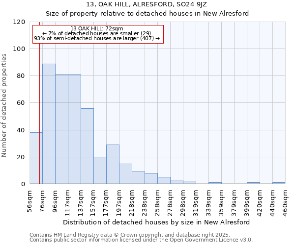 13, OAK HILL, ALRESFORD, SO24 9JZ: Size of property relative to detached houses in New Alresford