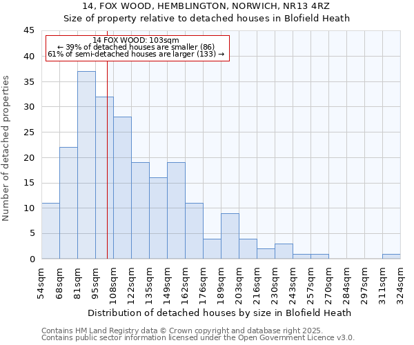 14, FOX WOOD, HEMBLINGTON, NORWICH, NR13 4RZ: Size of property relative to detached houses in Blofield Heath