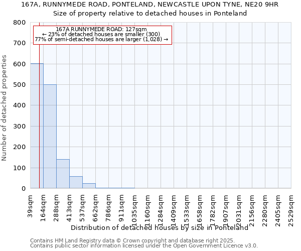 167A, RUNNYMEDE ROAD, PONTELAND, NEWCASTLE UPON TYNE, NE20 9HR: Size of property relative to detached houses in Ponteland