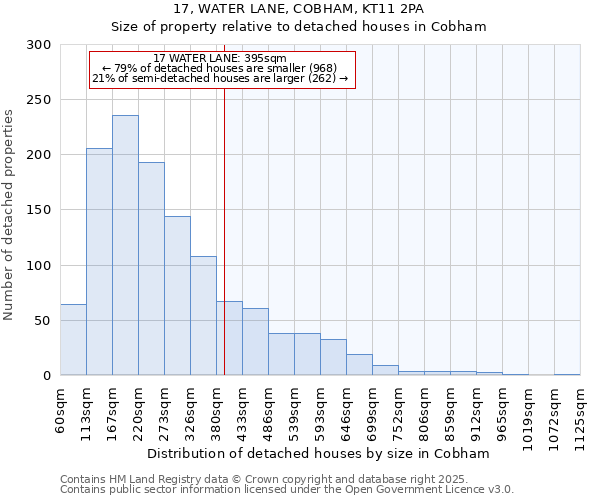 17, WATER LANE, COBHAM, KT11 2PA: Size of property relative to detached houses in Cobham