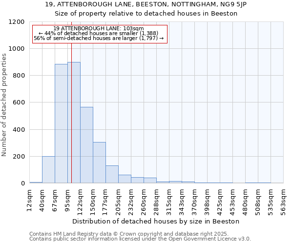 19, ATTENBOROUGH LANE, BEESTON, NOTTINGHAM, NG9 5JP: Size of property relative to detached houses in Beeston