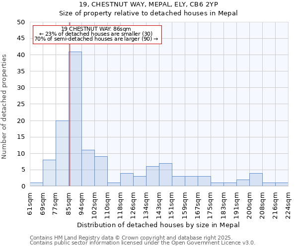 19, CHESTNUT WAY, MEPAL, ELY, CB6 2YP: Size of property relative to detached houses in Mepal