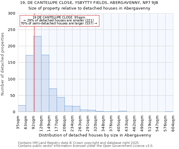 19, DE CANTELUPE CLOSE, YSBYTTY FIELDS, ABERGAVENNY, NP7 9JB: Size of property relative to detached houses in Abergavenny