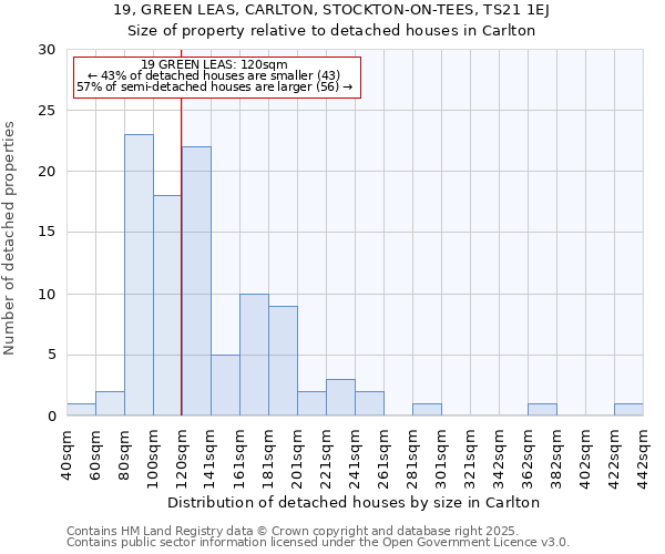 19, GREEN LEAS, CARLTON, STOCKTON-ON-TEES, TS21 1EJ: Size of property relative to detached houses in Carlton