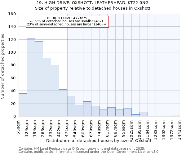 19, HIGH DRIVE, OXSHOTT, LEATHERHEAD, KT22 0NG: Size of property relative to detached houses in Oxshott