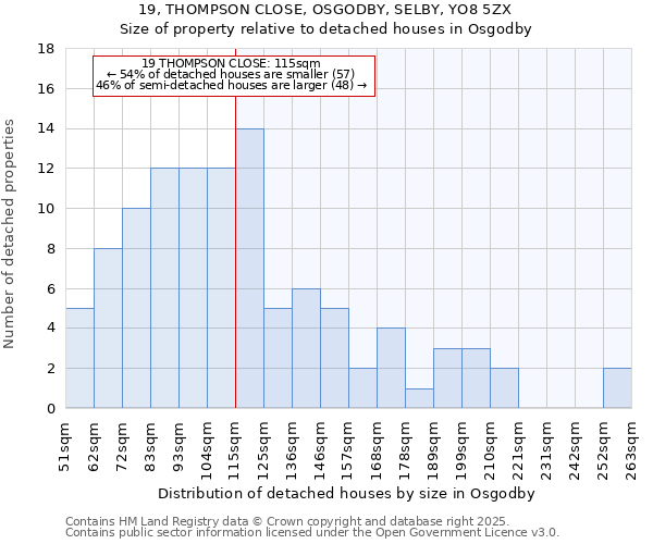 19, THOMPSON CLOSE, OSGODBY, SELBY, YO8 5ZX: Size of property relative to detached houses in Osgodby