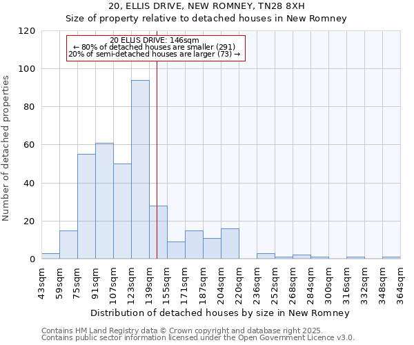 20, ELLIS DRIVE, NEW ROMNEY, TN28 8XH: Size of property relative to detached houses in New Romney