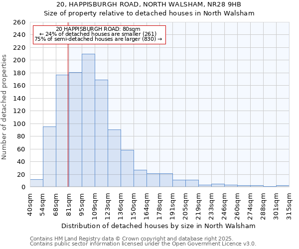 20, HAPPISBURGH ROAD, NORTH WALSHAM, NR28 9HB: Size of property relative to detached houses in North Walsham