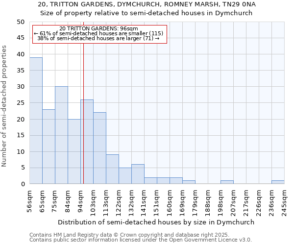 20, TRITTON GARDENS, DYMCHURCH, ROMNEY MARSH, TN29 0NA: Size of property relative to detached houses in Dymchurch