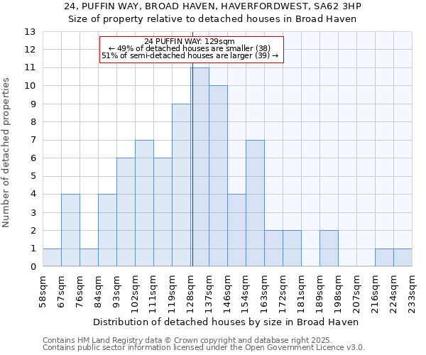 24, PUFFIN WAY, BROAD HAVEN, HAVERFORDWEST, SA62 3HP: Size of property relative to detached houses in Broad Haven