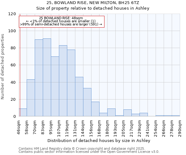 25, BOWLAND RISE, NEW MILTON, BH25 6TZ: Size of property relative to detached houses in Ashley