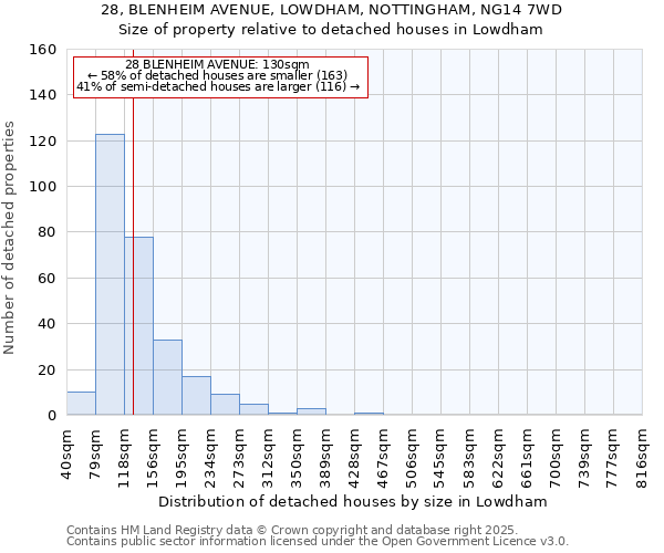 28, BLENHEIM AVENUE, LOWDHAM, NOTTINGHAM, NG14 7WD: Size of property relative to detached houses in Lowdham