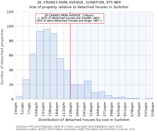 28, CRANES PARK AVENUE, SURBITON, KT5 8BP: Size of property relative to detached houses in Surbiton