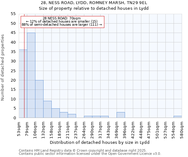 28, NESS ROAD, LYDD, ROMNEY MARSH, TN29 9EL: Size of property relative to detached houses in Lydd