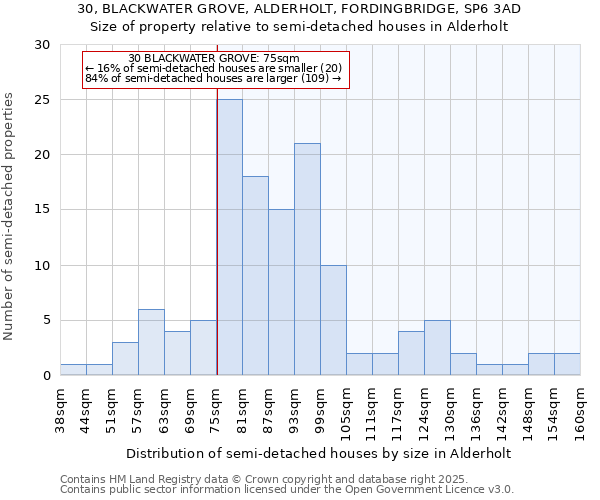 30, BLACKWATER GROVE, ALDERHOLT, FORDINGBRIDGE, SP6 3AD: Size of property relative to detached houses in Alderholt