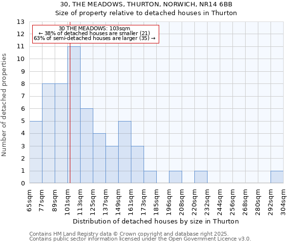 30, THE MEADOWS, THURTON, NORWICH, NR14 6BB: Size of property relative to detached houses in Thurton