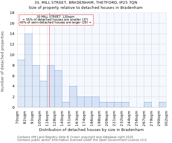 33, MILL STREET, BRADENHAM, THETFORD, IP25 7QN: Size of property relative to detached houses in Bradenham