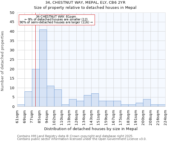 34, CHESTNUT WAY, MEPAL, ELY, CB6 2YR: Size of property relative to detached houses in Mepal