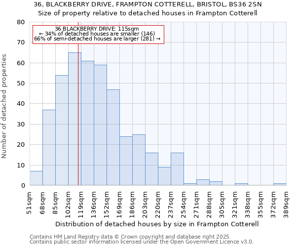 36, BLACKBERRY DRIVE, FRAMPTON COTTERELL, BRISTOL, BS36 2SN: Size of property relative to detached houses in Frampton Cotterell