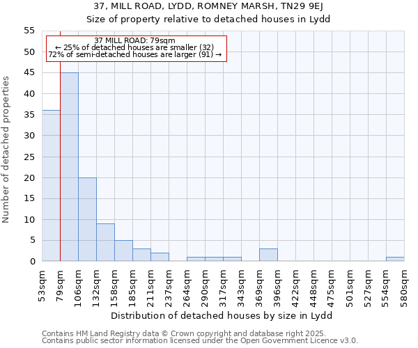 37, MILL ROAD, LYDD, ROMNEY MARSH, TN29 9EJ: Size of property relative to detached houses in Lydd